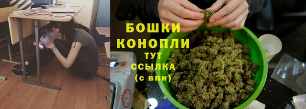 бошки Осинники