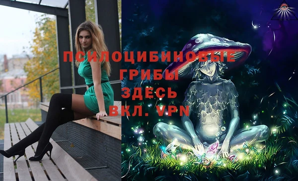 альфа пвп Алексеевка