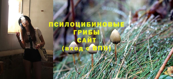 шишки Алзамай