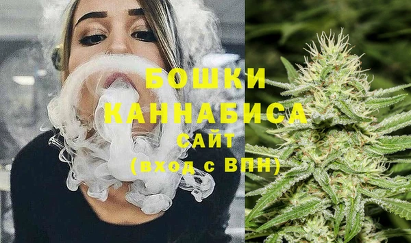 шишки Алзамай