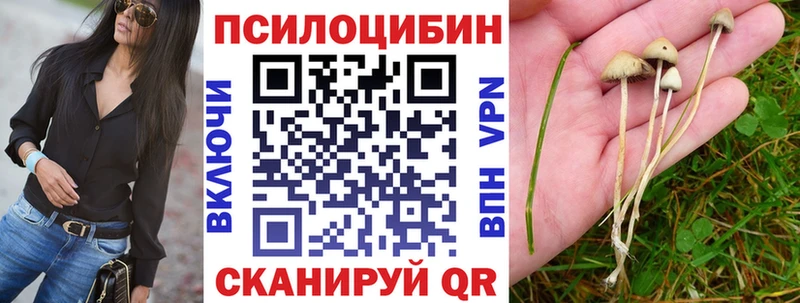 Псилоцибиновые грибы Magic Shrooms  где найти   Пролетарск 